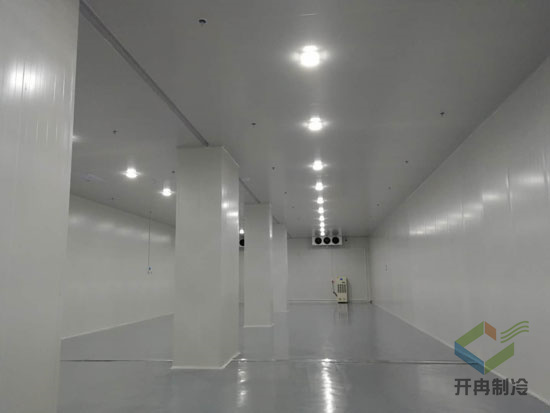 藥品冷凍庫建造安裝設計的特點及優勢是哪些？