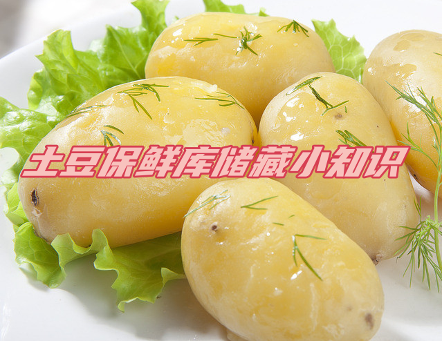 土豆保鮮庫儲存方法解析，延長土豆保鮮期的秘訣