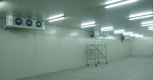 5000噸大蒜需建多大冷庫，冷庫造價多少錢