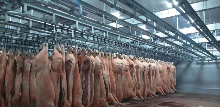 1000立方米肉類(lèi)冷凍庫(kù)