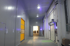 10000立方米食品多溫冷庫造價，總投資大概要多少錢