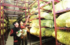 200平米果蔬冷庫,冷庫建造成本多少錢