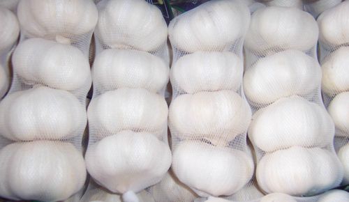 5000平米大蒜保鮮冷庫 5000平米大蒜保鮮冷庫