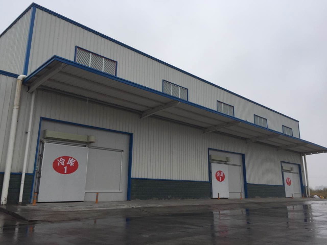 物流冷庫(kù)設(shè)計(jì)建造,冷庫(kù)工程造價(jià)多少 物流冷庫(kù)設(shè)計(jì)建造,冷庫(kù)工程造價(jià)多少