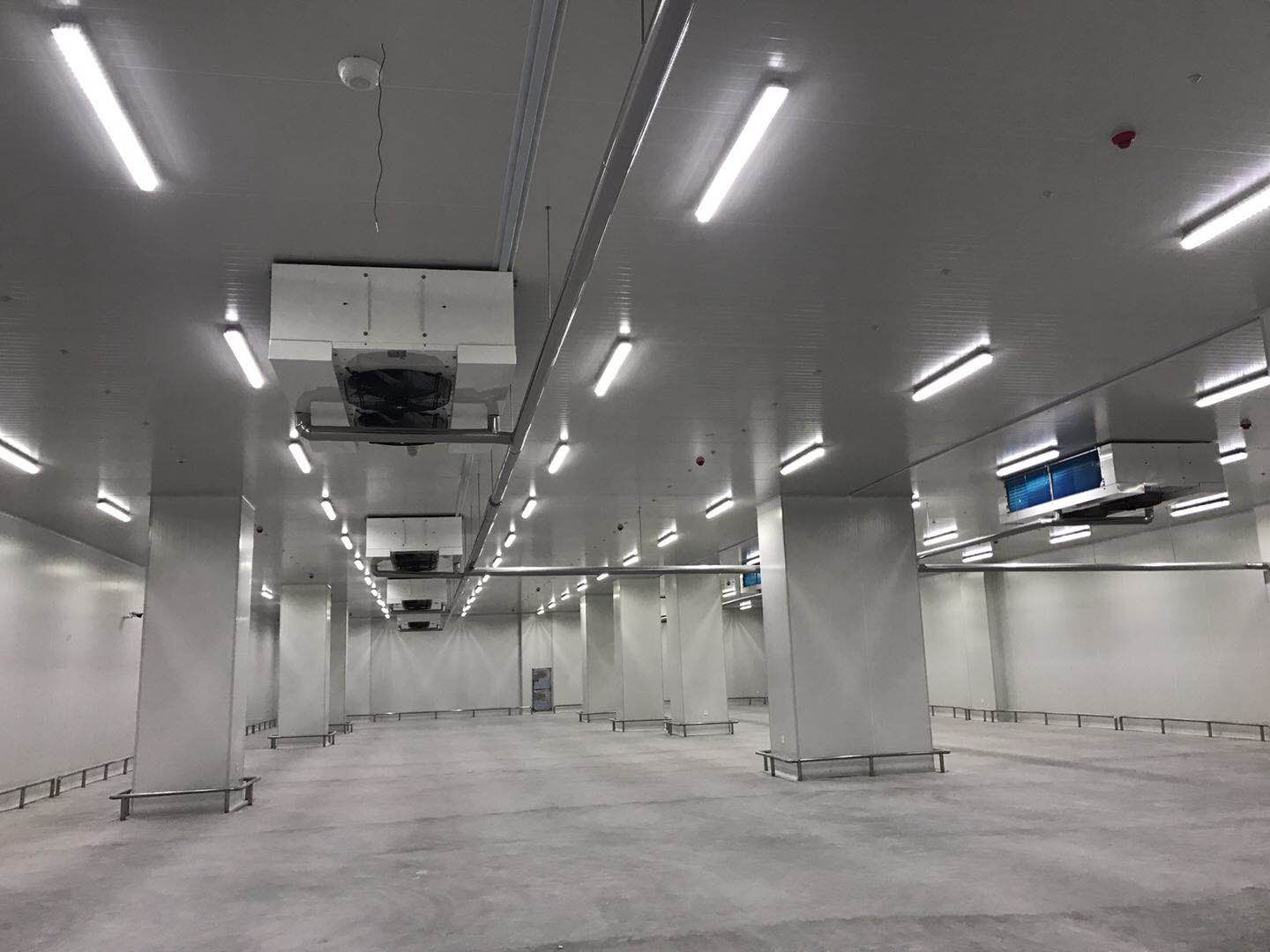 500平米食品冷庫(kù)建造，-23℃冷凍庫(kù)造價(jià)多少錢(qián)