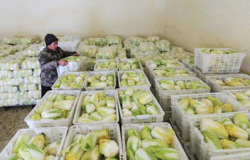 1000噸蔬菜冷庫(kù)