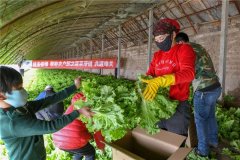 一場(chǎng)疫情,突出了冷庫(kù)的重要性!