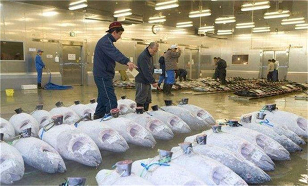 浙江-60℃超低溫凍庫(kù)