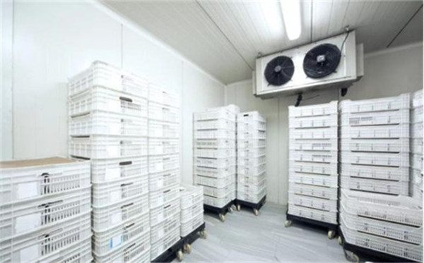 1000平冷凍食品冷庫 1000平冷凍食品冷庫