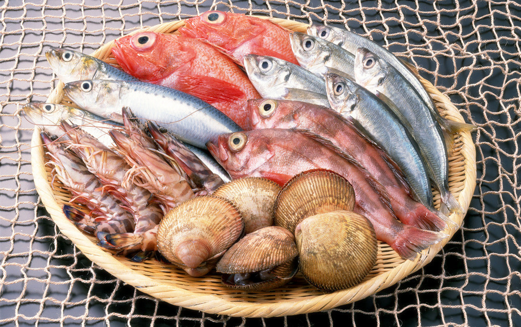 -18℃~-25℃冷凍食品低溫倉(cāng)儲(chǔ)設(shè)備安裝費(fèi)用多少錢(qián) -18℃~-25℃冷凍食品低溫倉(cāng)儲(chǔ)設(shè)備安裝費(fèi)用多少錢(qián)