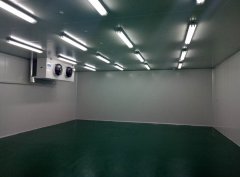 黃梅兩山農業食品加工冷庫(小龍蝦冷凍庫)新工程案例