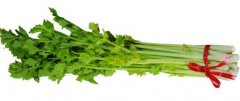 芹菜在冷庫(kù)能儲(chǔ)存多久