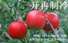 水果冷庫報價、一個水果冷庫多少錢