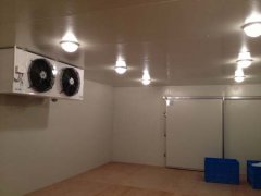 220V能建冷庫(kù)多大？（低溫冷庫(kù)）