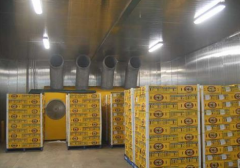 300噸葡萄保鮮庫造價，葡萄冷庫保鮮期及溫度多少？