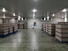 存儲食品冷藏庫設(shè)計建造多少錢一平米？保鮮冷藏庫設(shè)計