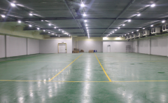 300噸的枇杷冷藏庫建造需要多少錢？枇杷冷庫造價