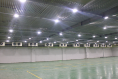 -18℃海魚冷凍庫(kù)需要多少錢，2000平低溫海帶冷庫(kù)造價(jià)