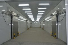 快速制冷、速凍冷庫每立方米造價多少